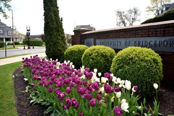 Dieu-kien-du-hoc-My-tai-Dai-hoc-Bridgeport