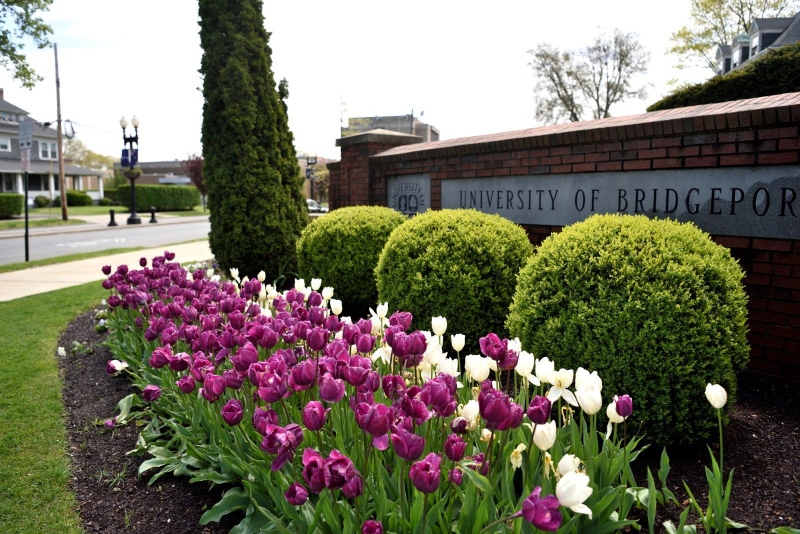 Trường Đại học Bridgeport - University of Bridgeport (UB) 2026