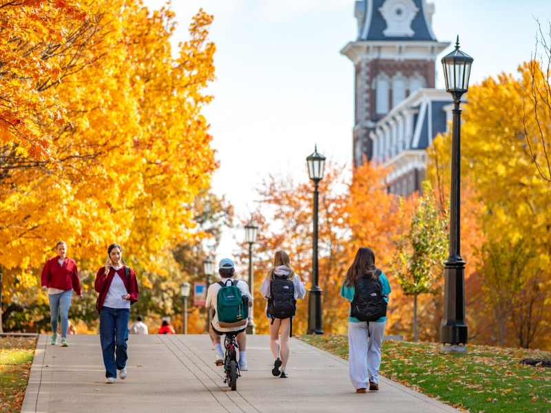 university-of-arkansas