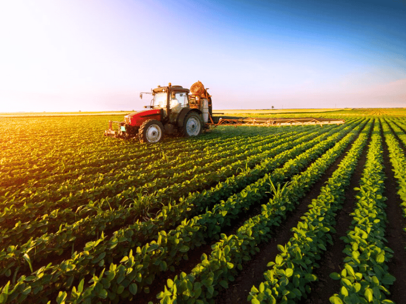 Nong-nghiep-Cong-nghiep-thuc-pham-Agriculture-and-Agri-Food