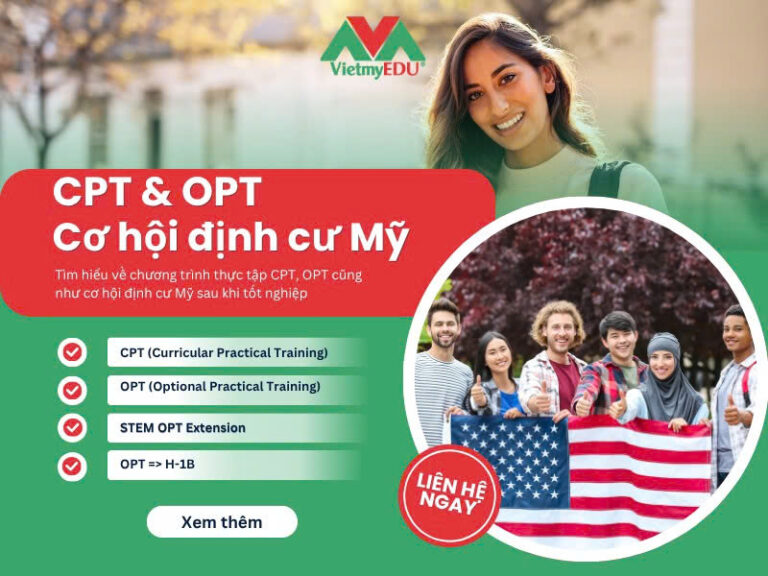 Tìm hiểu về CPT và OPT - cơ hội định cư Mỹ cho sinh viên quốc tế